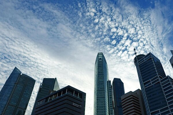 Architecture of the city , skyscrapers of Asia