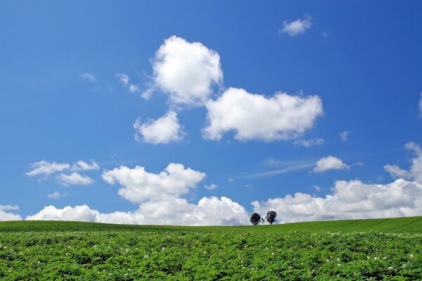 Blue blue sky with green fields