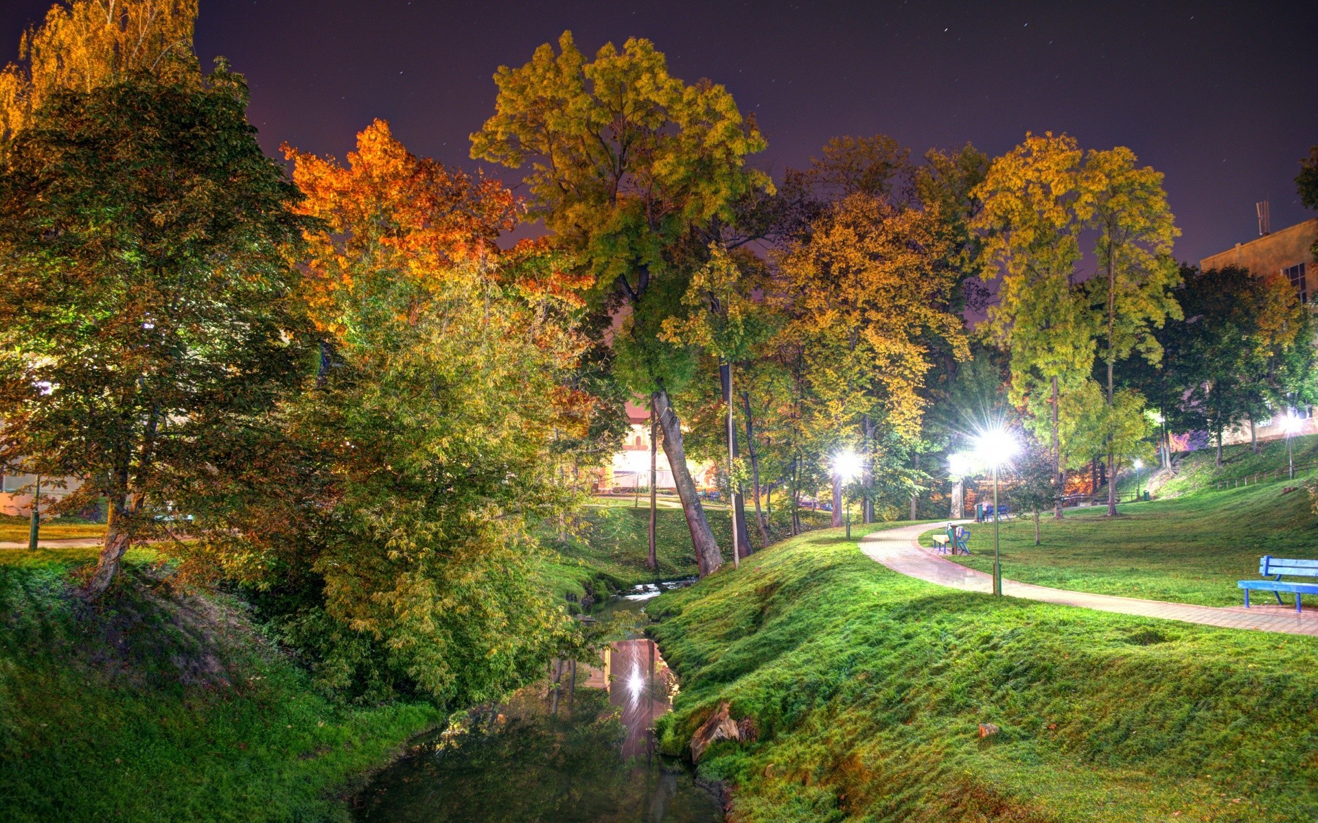 europe tree landscape outdoors fall wood leaf park nature scenic road dawn travel fair weather