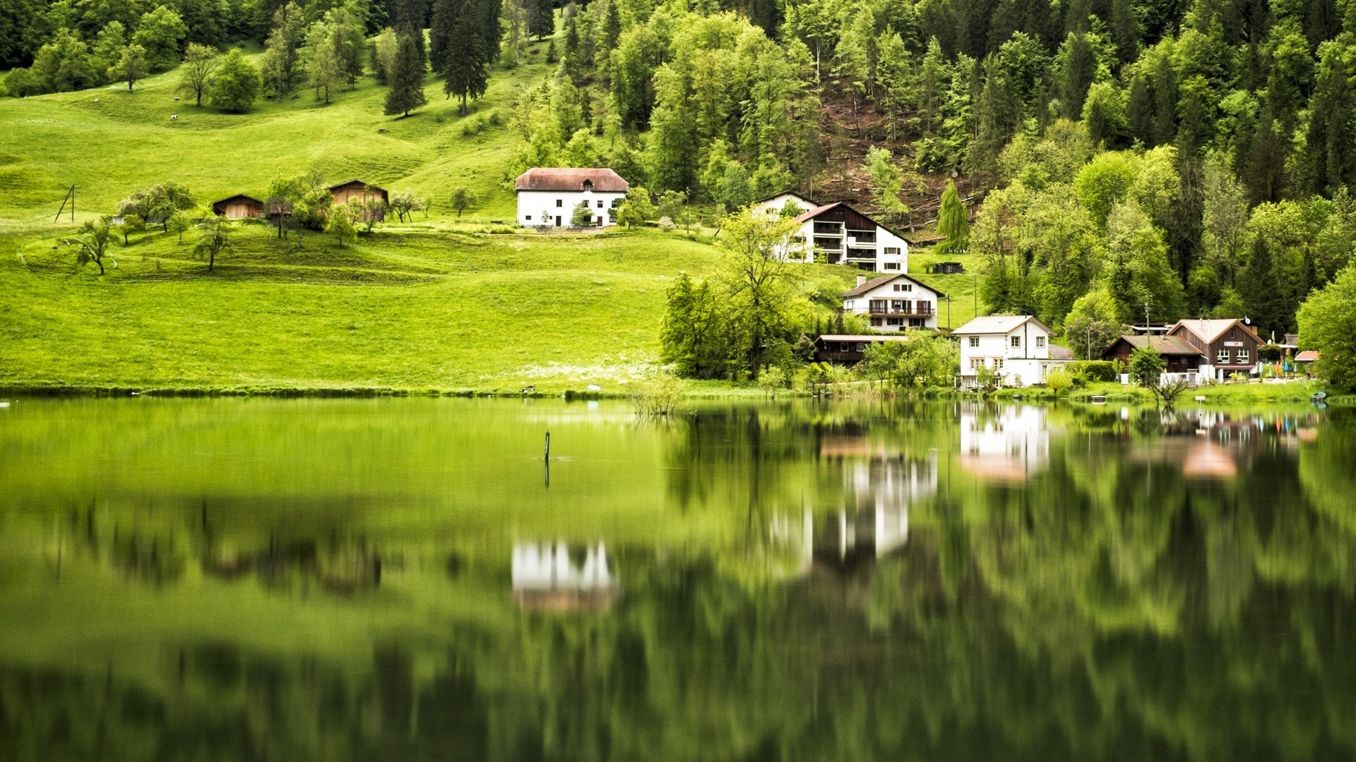 europe nature grass water landscape summer wood tree outdoors rural house lake hayfield travel river reflection sky