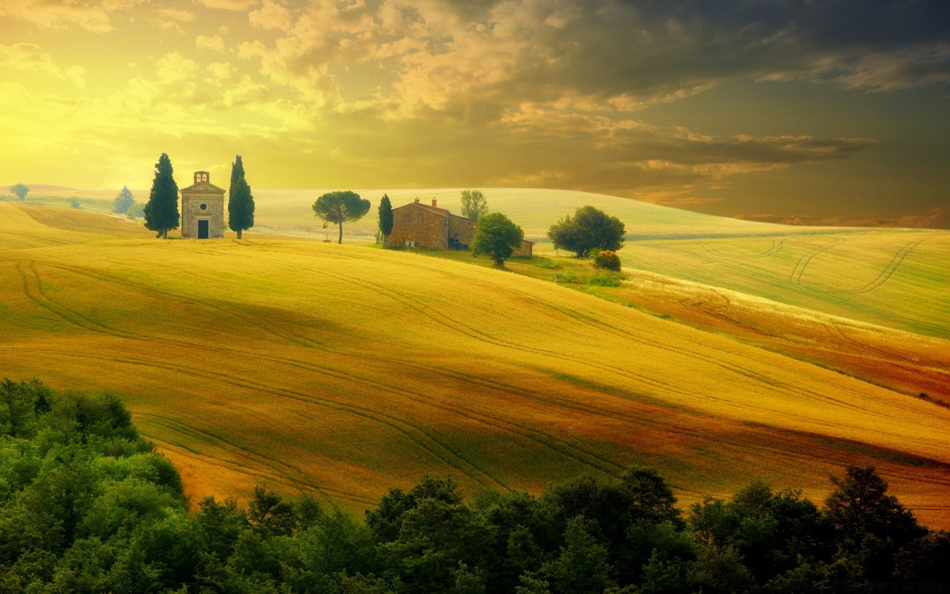 europa paesaggio tramonto natura campagna all aperto cielo albero rurale estate agricoltura sera terra coltivata viaggi alba pastorale erba collina cipresso bel tempo