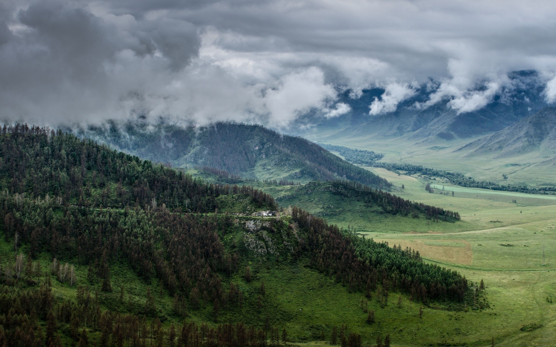 europe landscape nature mountain travel sky outdoors wood tree hill scenic summer valley grass cloud fog