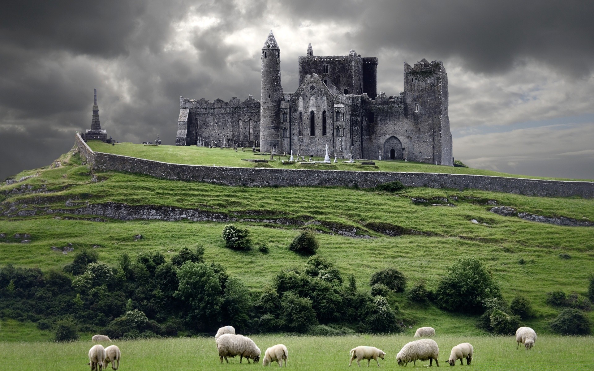 europe sheep agriculture countryside architecture farm grass livestock outdoors sky rural travel ancient pasture gothic landscape pastoral hayfield castle