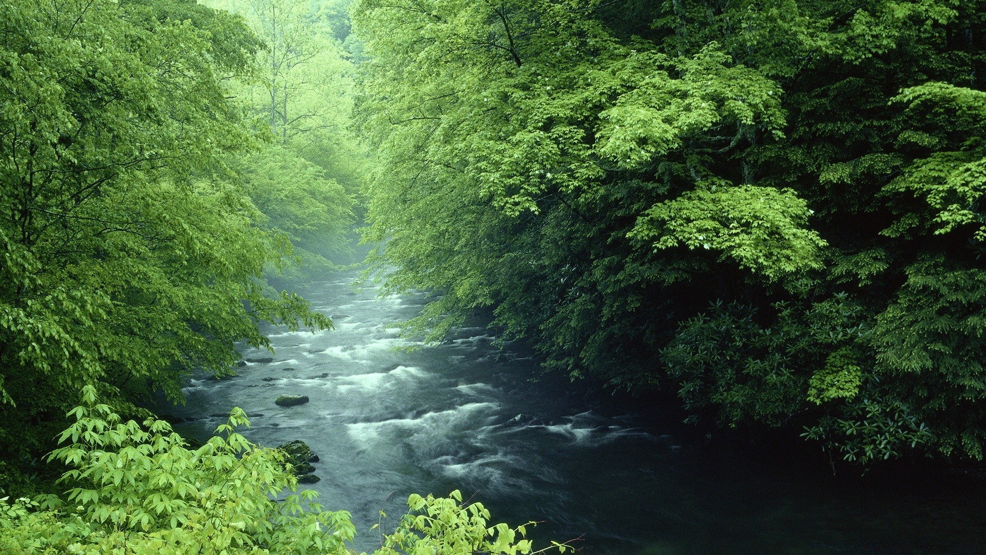 Tellico River, Cherokee National Forest, Tennessee загрузить