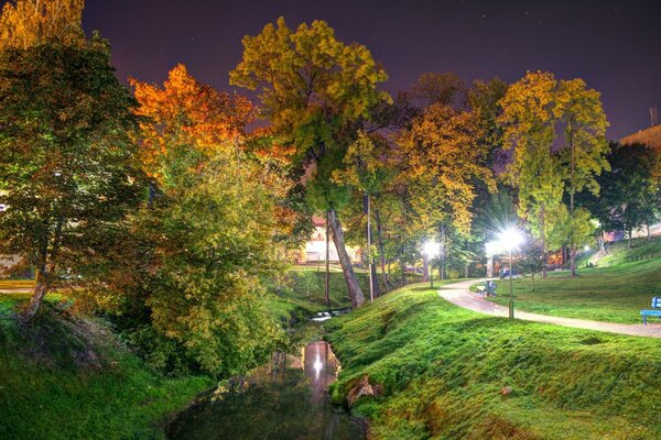 Autumn in Europe. Yellowed trees