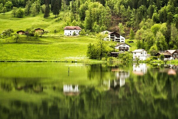 Landschaft des Wassers grün und Häuser