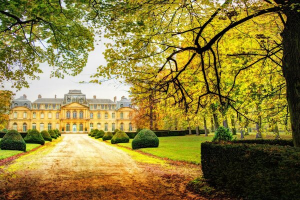 Herbstbäume in einem Park irgendwo in Europa