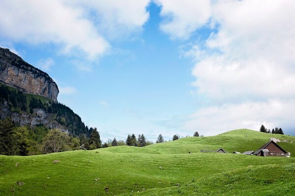 Grüne Landschaft der Natur in Europa