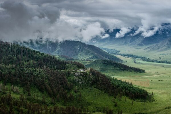 Тичи үлкен орманды алып жатыр