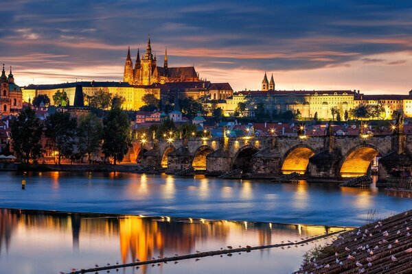 Beautiful evening lighting of the city