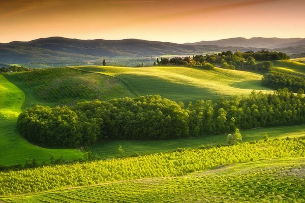 Fields of rural Europe