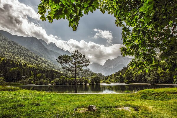 Park mit Berg- und Seeblick