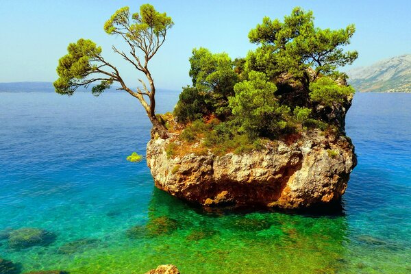 Ilha verde no mar da Europa