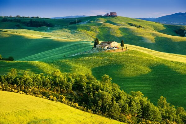 Europäische Landschaft der ländlichen Felder