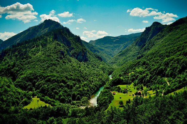 Meraviglioso paesaggio. Montagne e vegetazione