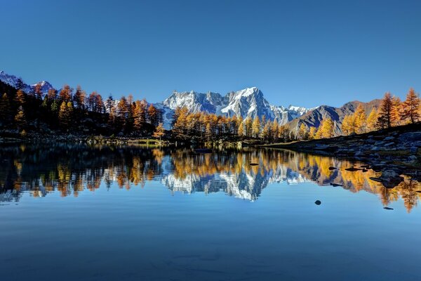 Bosque alrededor del lago. Hermosa vista del agua