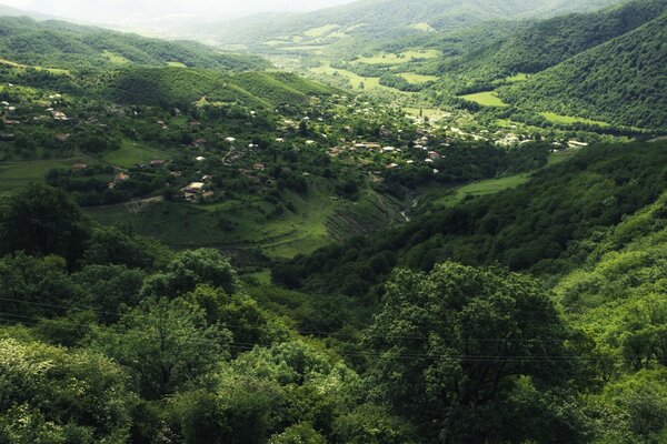 Berge, die mit einer grünen Walddecke bedeckt sind