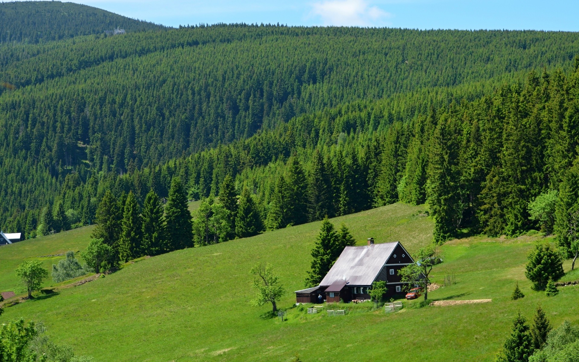 europe bois bois montagnes paysage pittoresque vallée foin conifères nature à l extérieur colline herbe evergreen été lumière du jour ciel