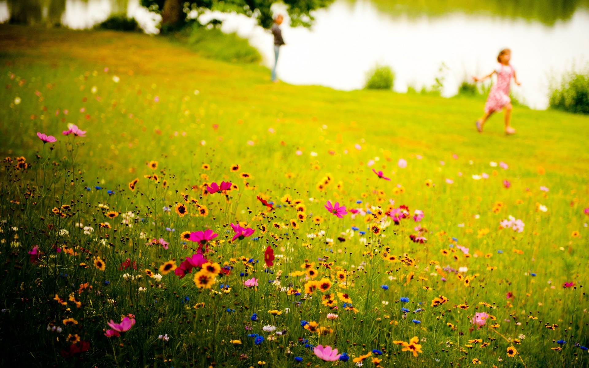 europa sommer blume natur gras heuhaufen feld im freien des ländlichen raumes des ländlichen raumes gutes wetter sonne hell