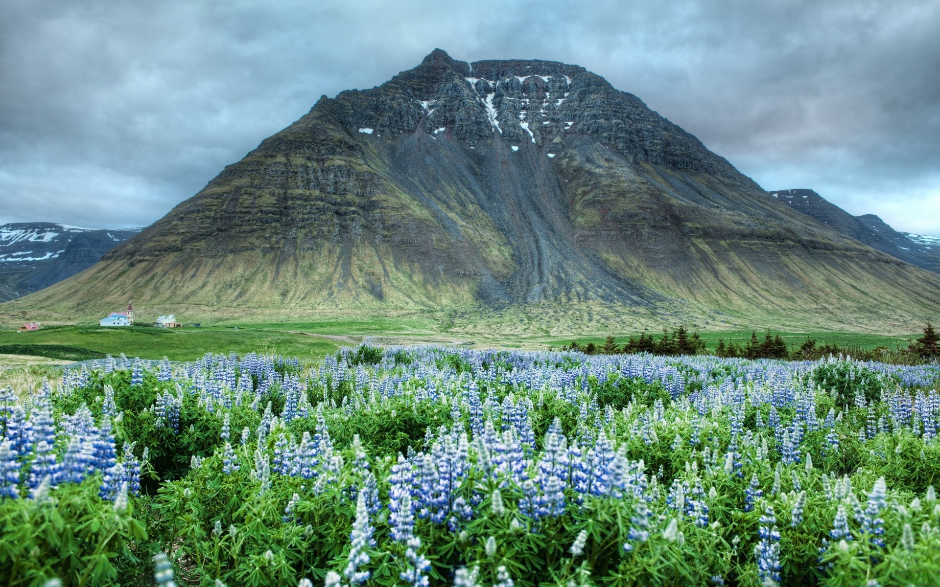 europe landscape nature mountain outdoors lupine scenic travel hayfield flower summer grass scenery flora wild rural beautiful sky field