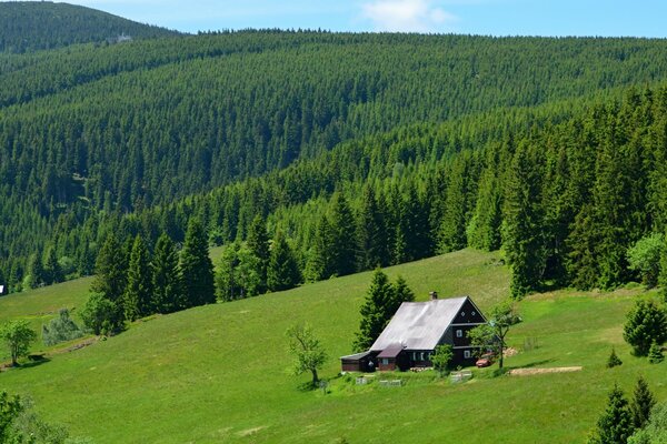 Holzhütte in den Bergen