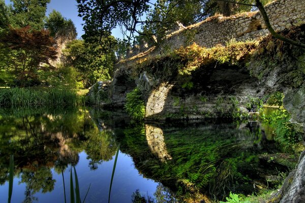 Fiumi D Europa sullo sfondo di una foresta verde