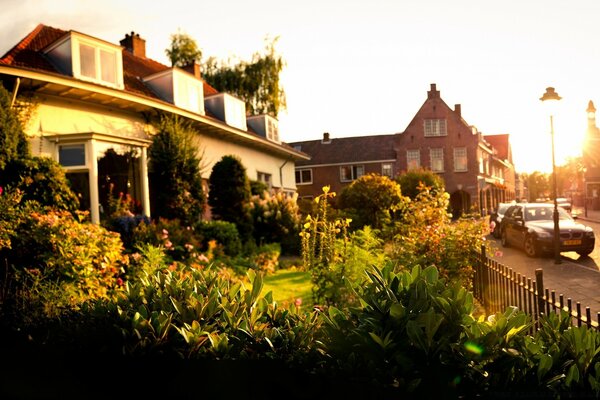 Beautiful garden at a huge house