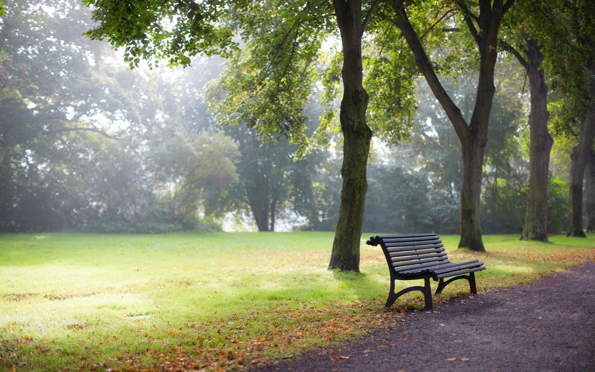 l europe banc bois bois parc herbe paysage feuille jardin nature pelouse été à l extérieur luxuriante environnement guide beau temps lieu