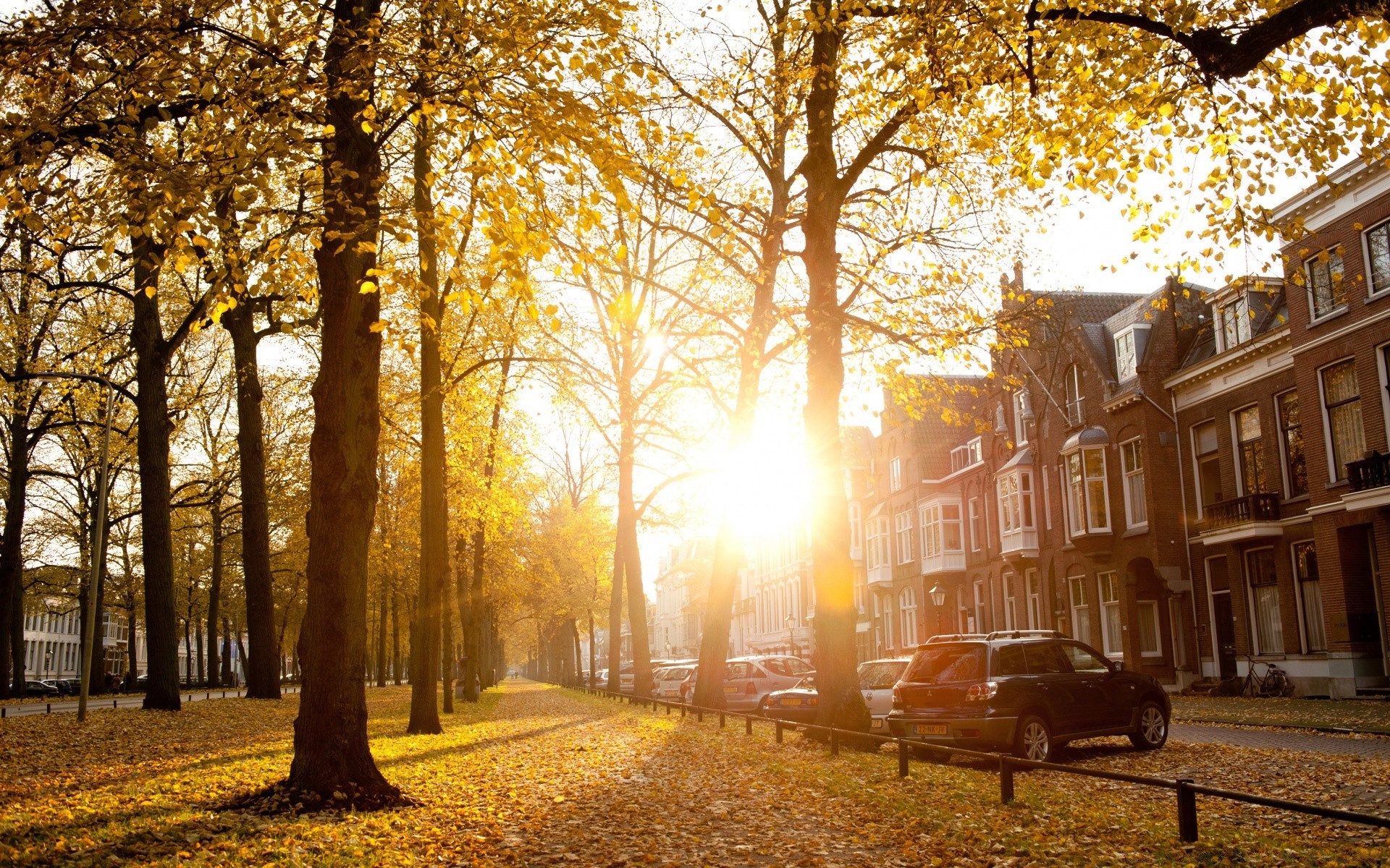 europa herbst holz holz park blatt saison landschaft gasse straße natur licht im freien gutes wetter dämmerung landschaftlich umwelt