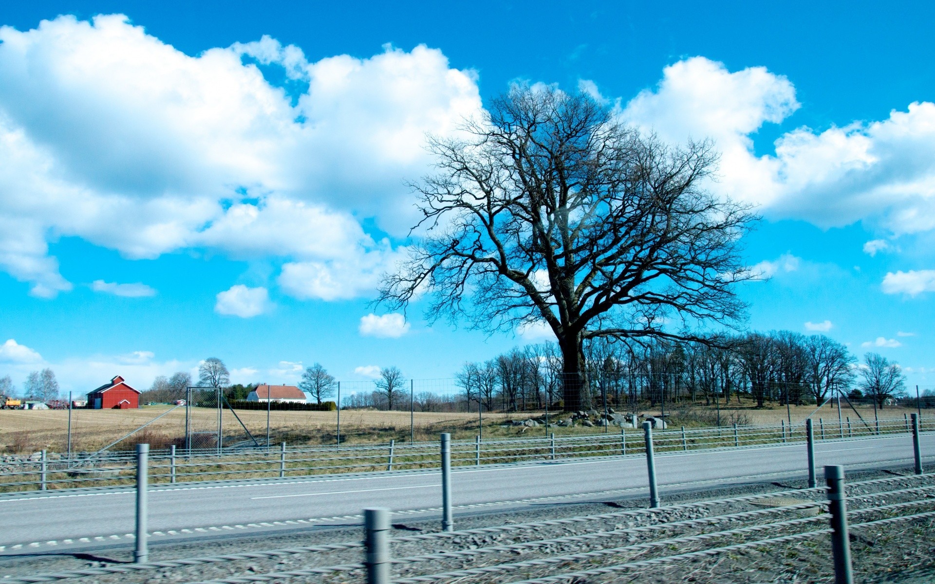 europe tree landscape nature outdoors fence sky season road grass wood