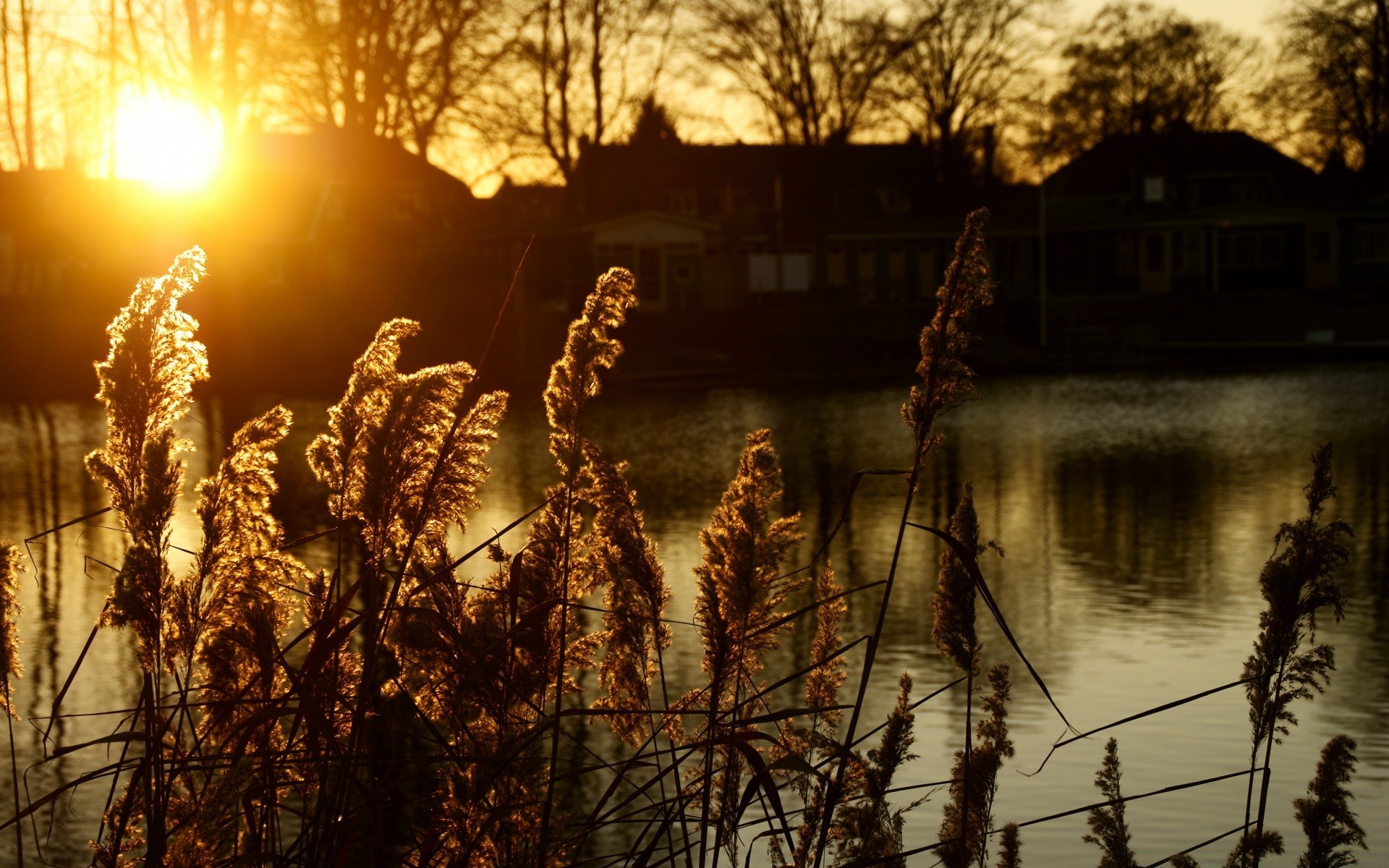 europe sunset winter dawn snow nature water landscape tree cold evening outdoors dusk reflection sun light sky lake weather frost