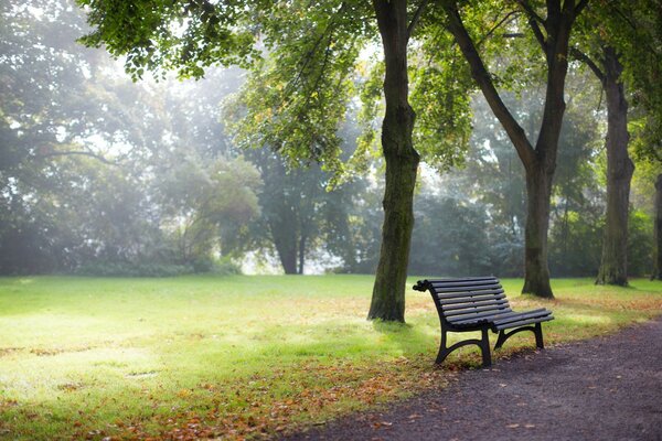 Eine Bank im europäischen Stil im Park