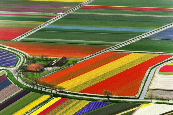 European road, highway of traffic