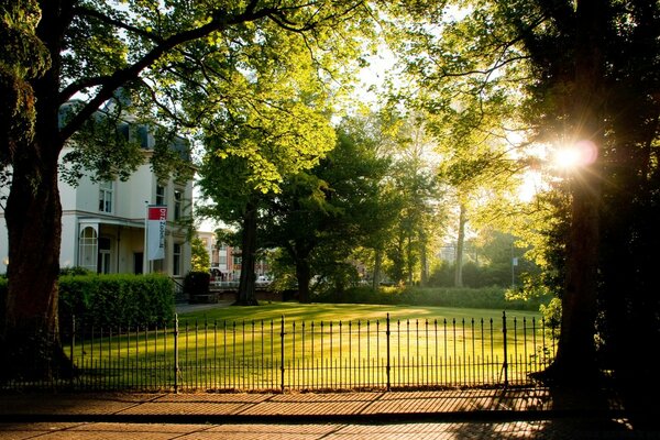 European park with trees and a road