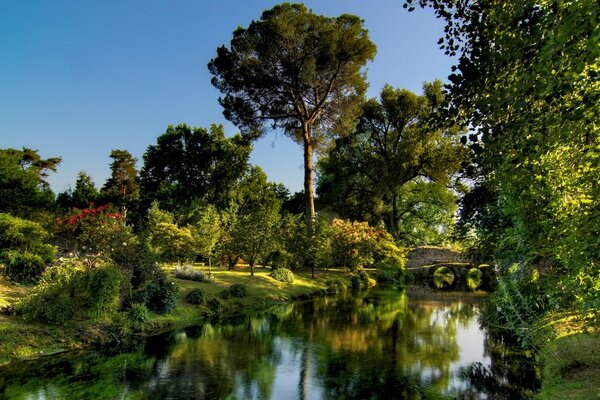 Waldlandschaft. Klares Wasser