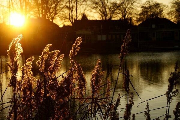 Winter dawn, winter in Europe