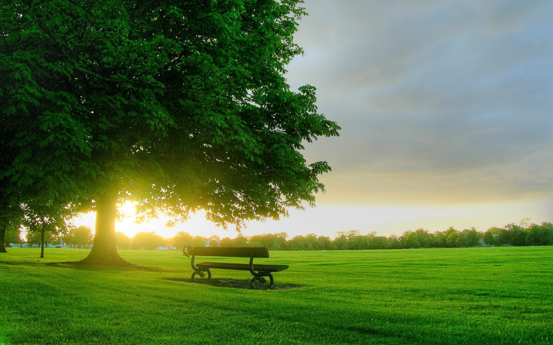 landscapes grass nature sun rural landscape dawn summer countryside tree fair weather field outdoors sunset sky hayfield bright pasture fall