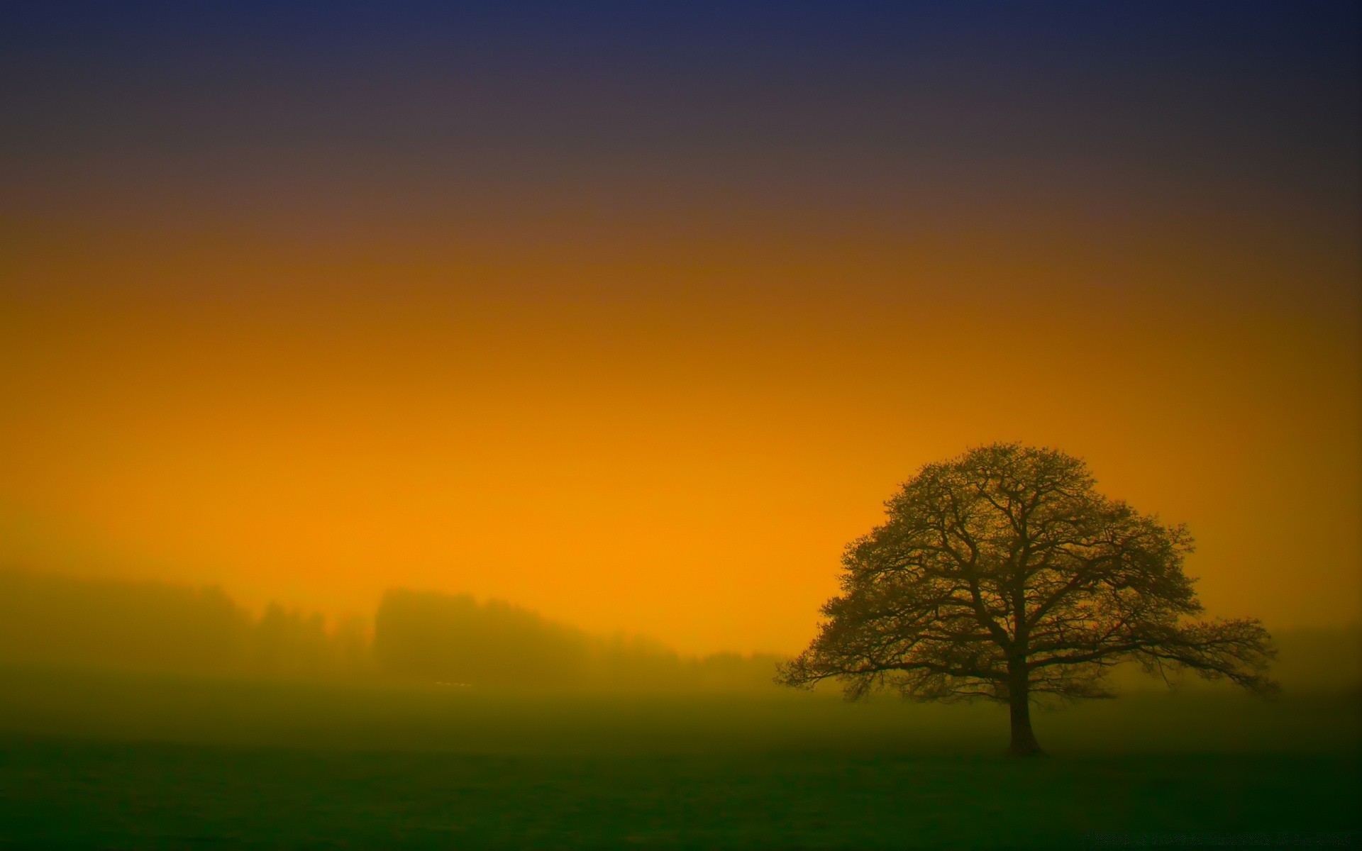 paesaggio tramonto alba sole paesaggio sera natura silhouette nebbia cielo albero illuminato bel tempo crepuscolo nebbia luce campagna all aperto