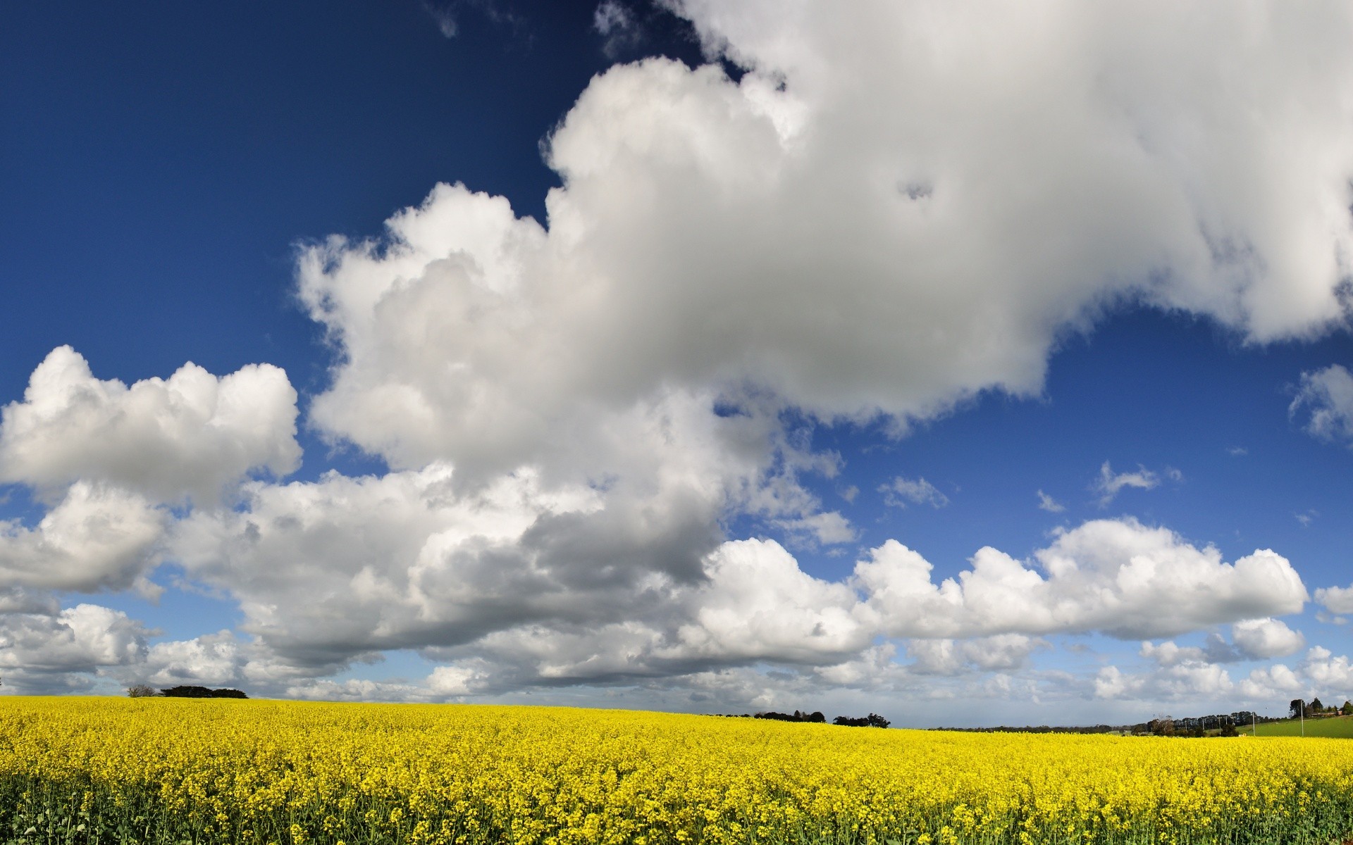 paysage paysage champ nature ciel rural agriculture nuage soleil été ferme beau temps pays campagne récolte horizon extérieur fleur météo sol