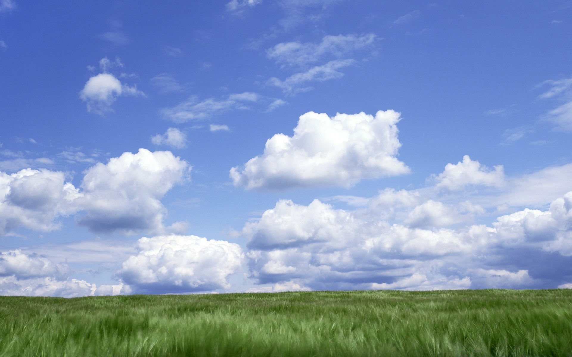 landscapes pasture outdoors nature rural sky summer countryside grass sun fair weather agriculture landscape field growth idyllic wheat farm cloud farmland