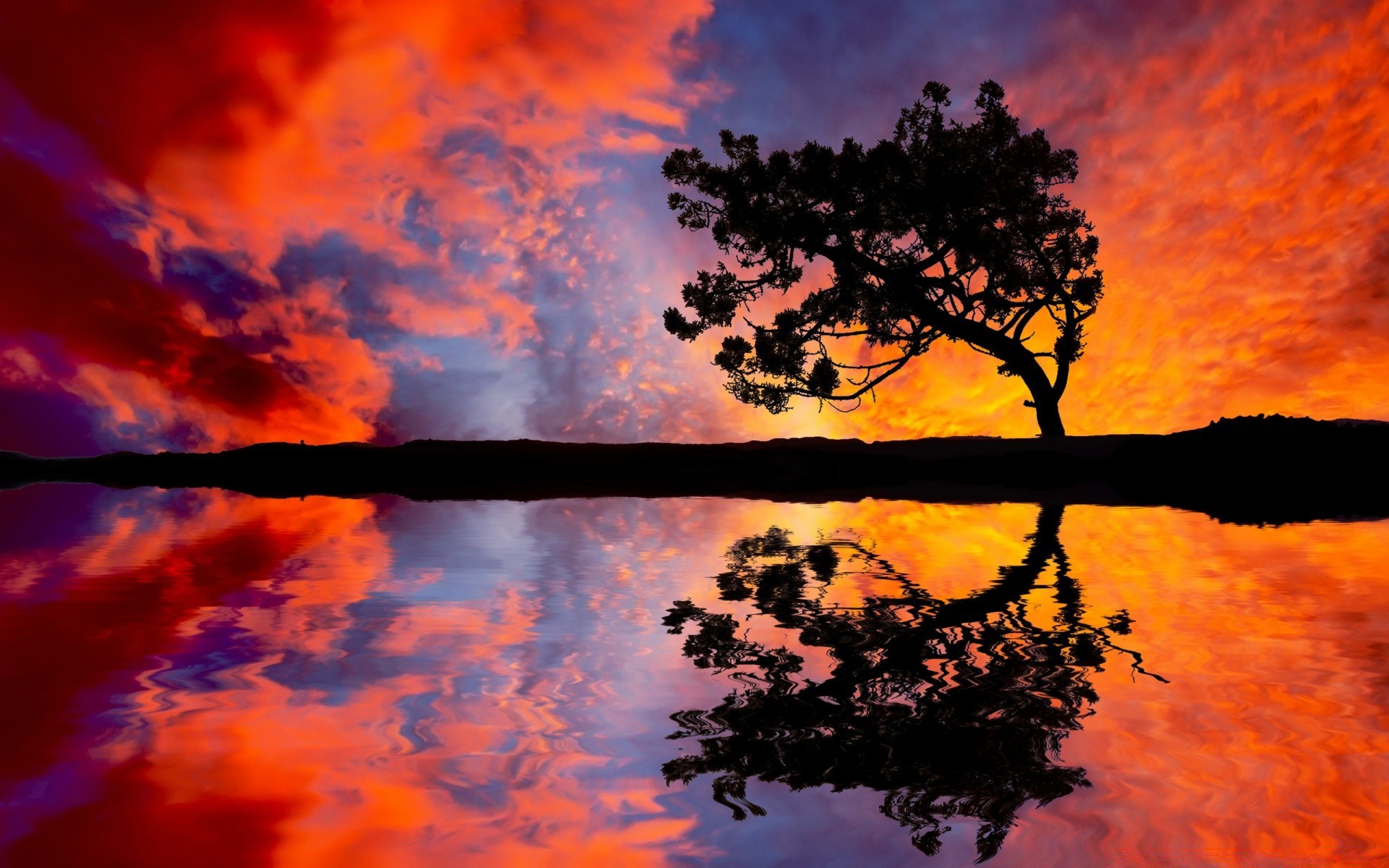 landscapes sunset dawn sun silhouette sky landscape evening nature fair weather scenic weather backlit dusk light bright outdoors dramatic tree color