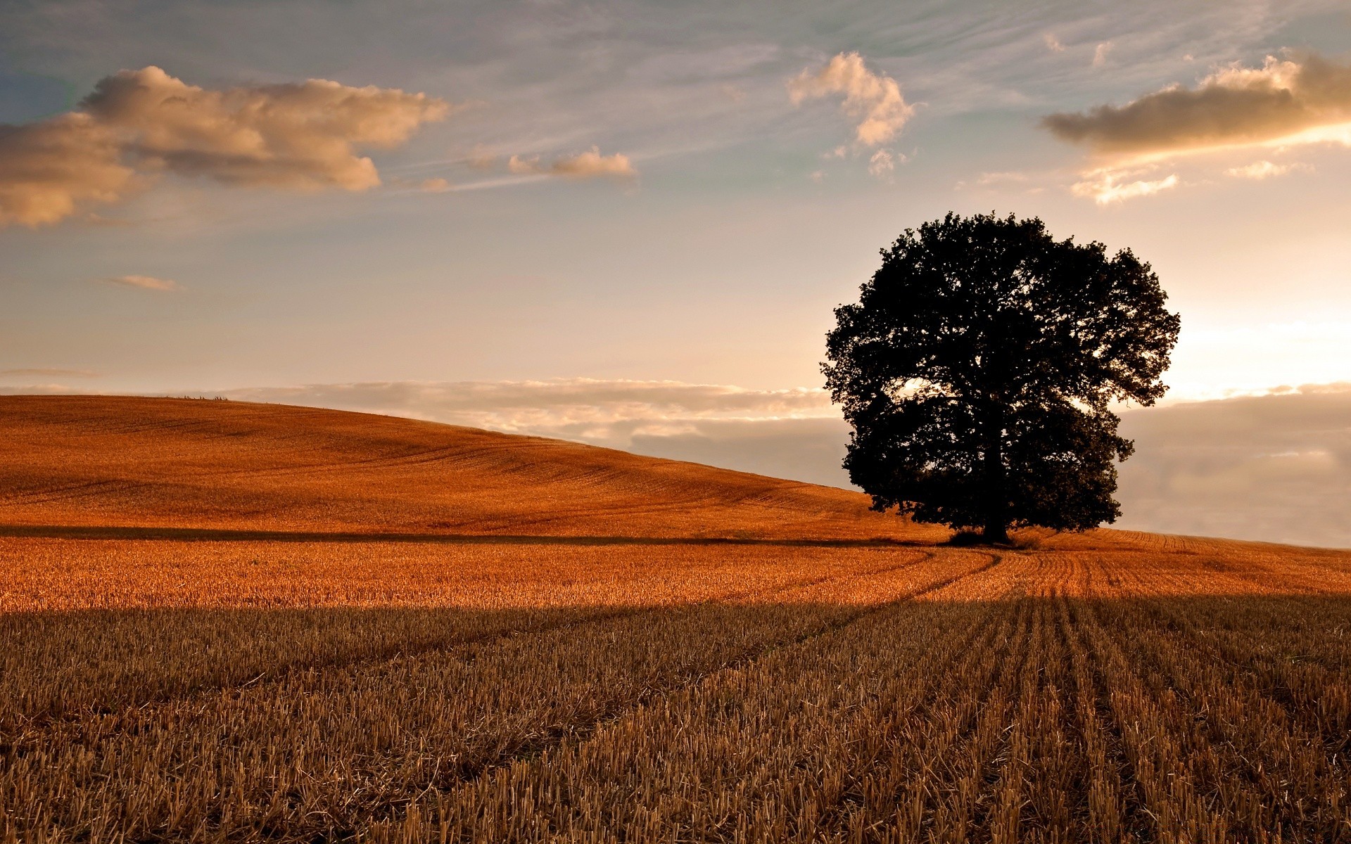 paisaje puesta de sol paisaje agricultura amanecer tierra cultivada naturaleza cielo campo sol campo al aire libre rural granja trigo noche buen tiempo