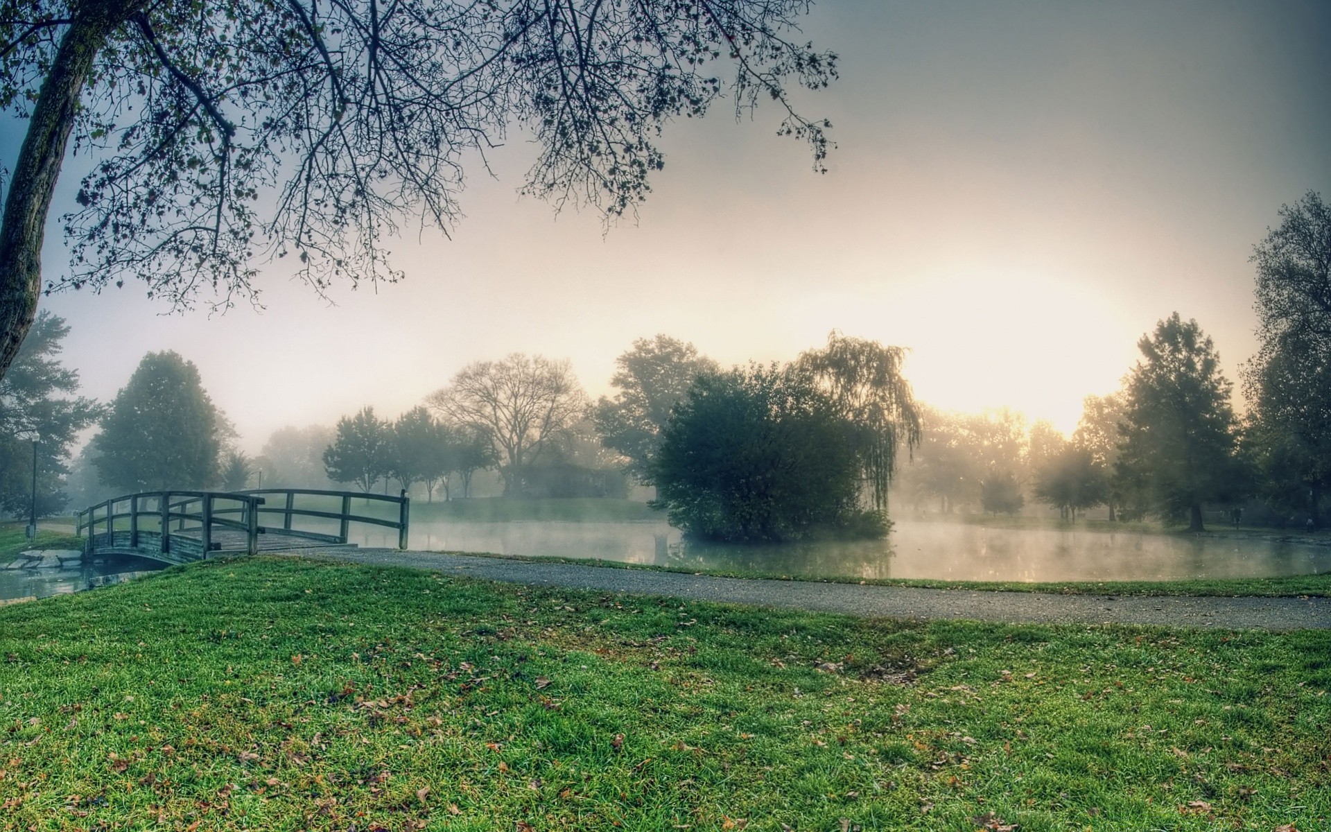 landscapes tree landscape dawn nature grass fog light mist weather park outdoors wood sun sky fall environment field rural summer