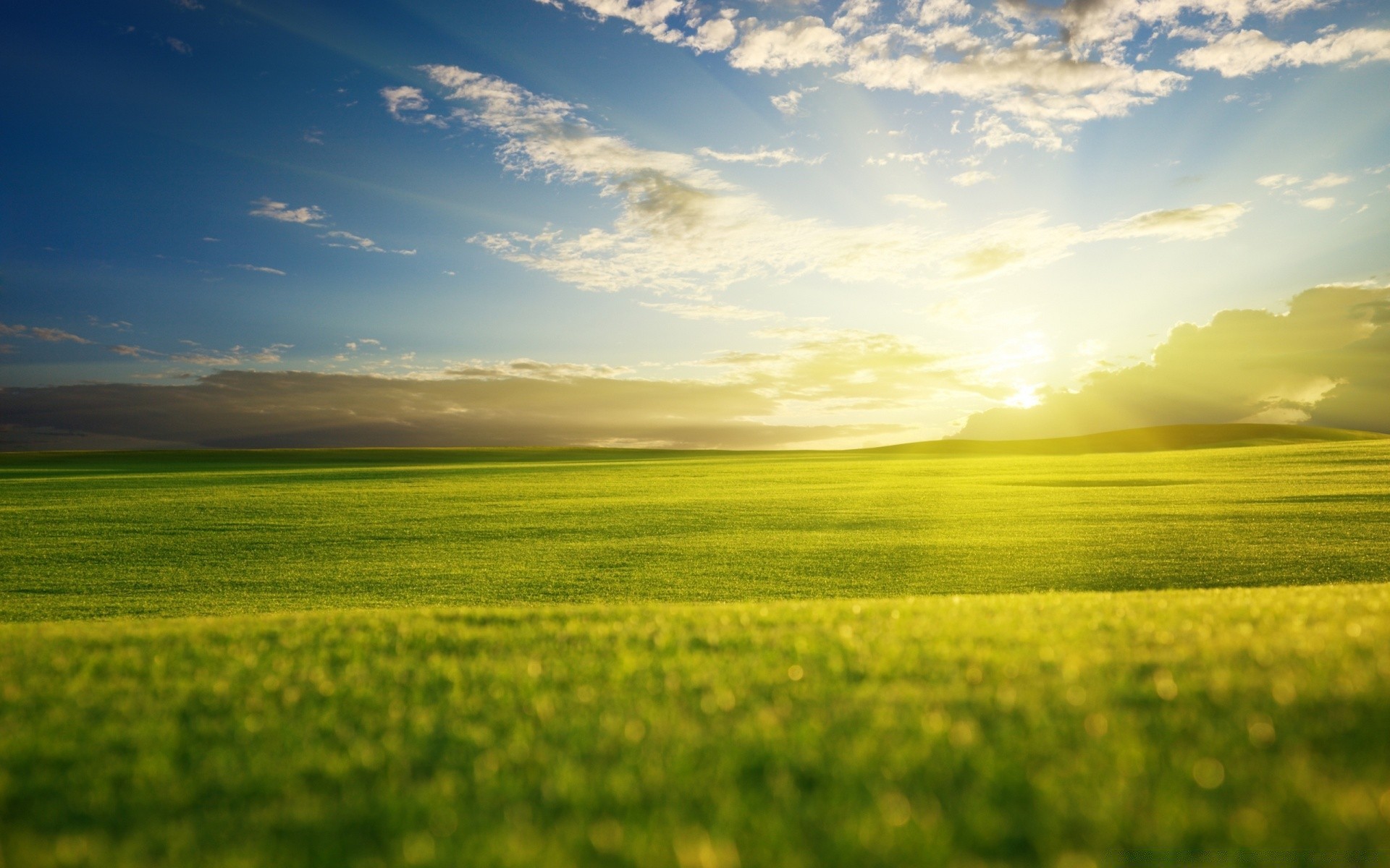 paysage champ rural ferme paysage herbe foin nature agriculture pâturage campagne soleil ciel horizon été sol pays beau temps nuage croissance