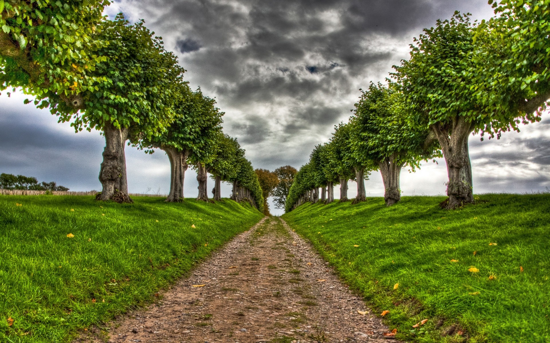 landschaft baum gras natur blatt sommer landschaft im freien garten flora des ländlichen rasen park landschaft