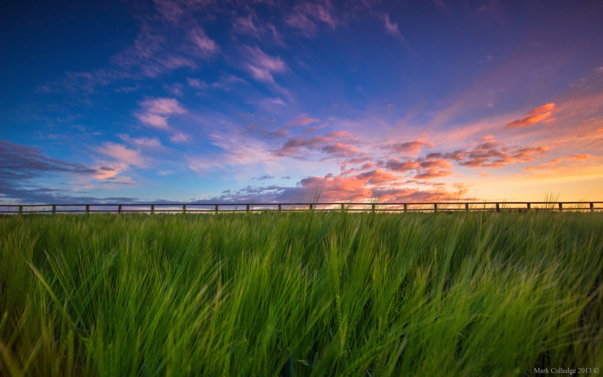 paysage rural champ pâturage campagne céréales paysage herbe ciel soleil agriculture aube ferme été terres agricoles nature blé coucher de soleil en plein air beau temps