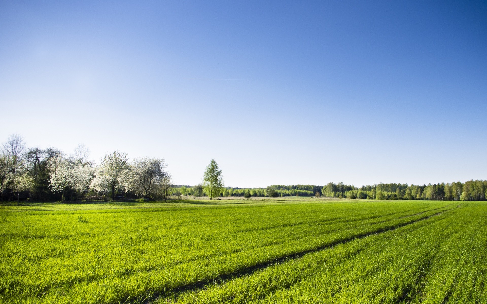 landschaft landwirtschaft feld landschaft des ländlichen bauernhof landschaft natur weide wachstum gras im freien himmel sommer ernte baum ackerland bebautes land flora boden