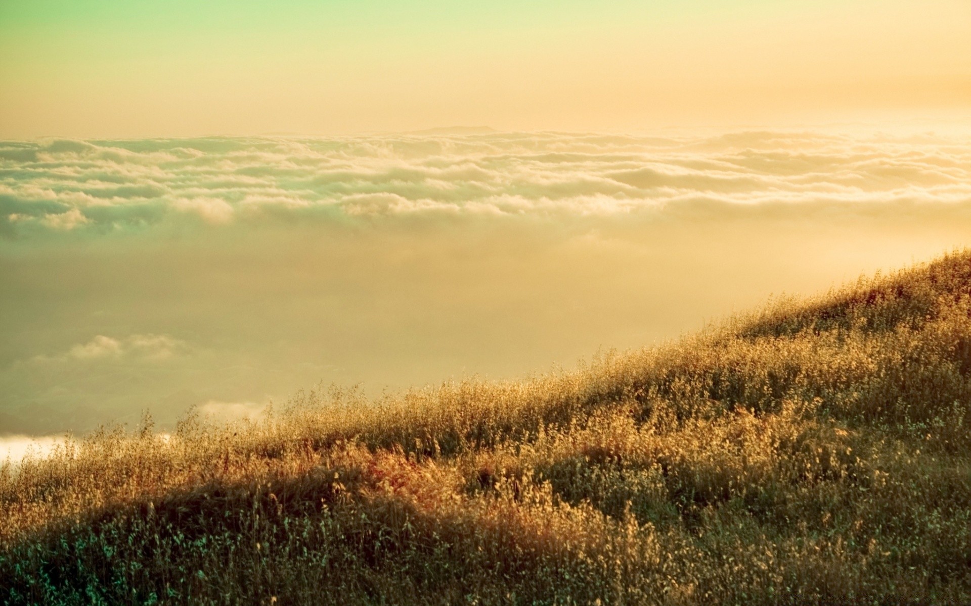 landscapes landscape sunset field dawn nature sky agriculture sun countryside farm evening fog outdoors rural grass fair weather fall weather environment