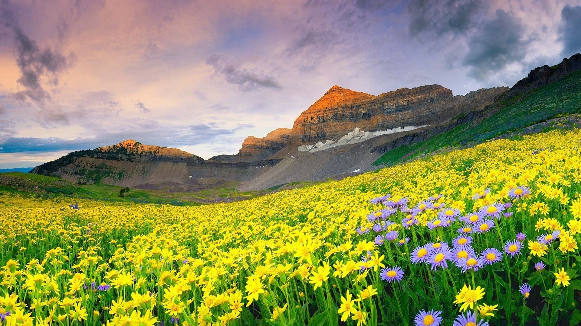 paisaje naturaleza paisaje heno rural hierba al aire libre verano flor campo cielo escénico buen tiempo viajes montaña campo flora pastizales