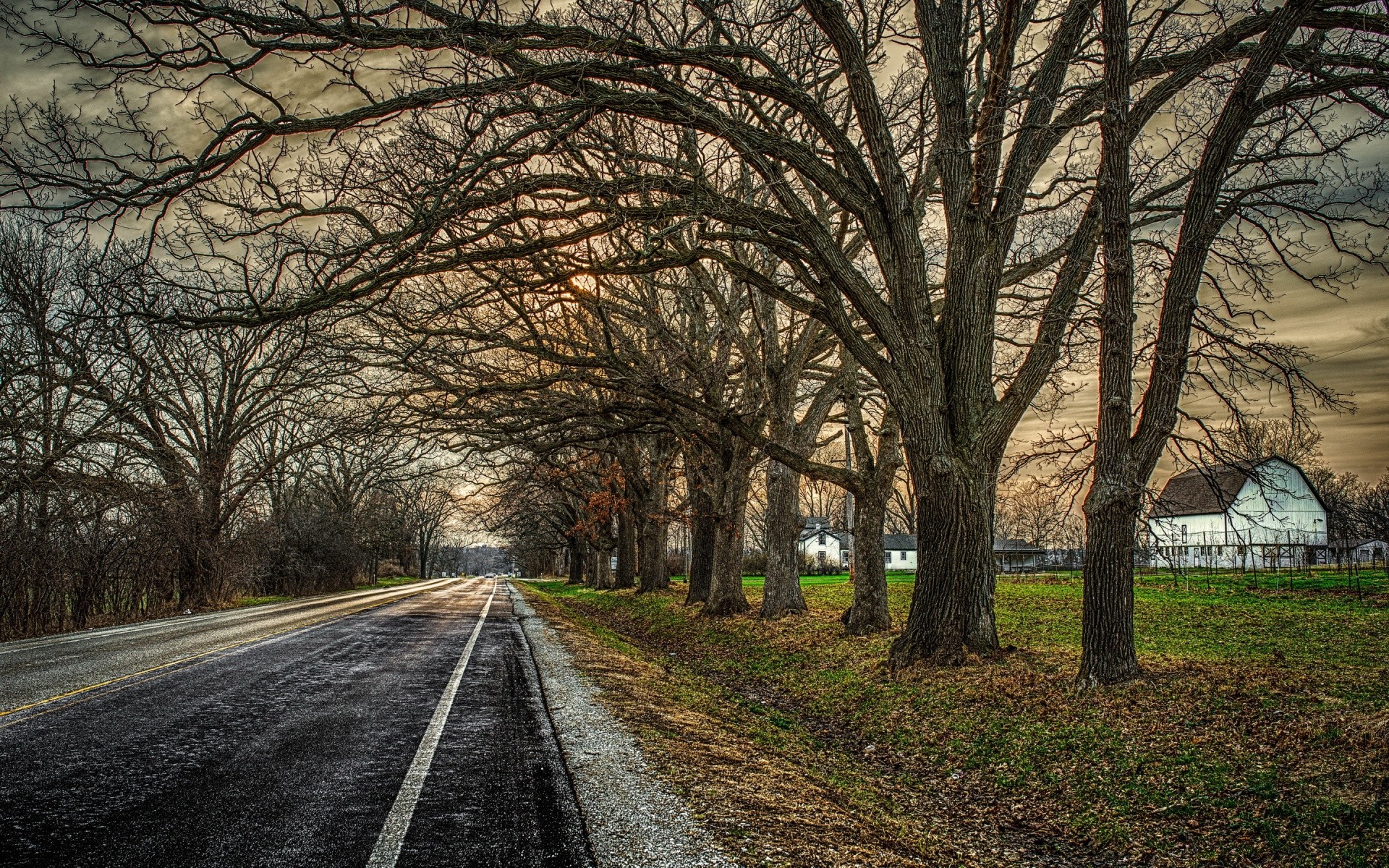 paesaggio strada albero guida paesaggio autunno legno natura campagna prospettiva rurale luce foglia vicolo all aperto parco